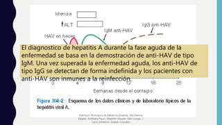 El diagnostico de hepatitis A durante la fase aguda de la
enfermedad se basa en la demostración de anti-HAV de tipo
IgM. Una vez superada la enfermedad aguda, los anti-HAV de
tipo IgG se detectan de forma indefinida y los pacientes con
anti-HAV son inmunes a la reinfección.
Harrison. Principios de Medicina Interna, 19e,Dennis
Kasper, Anthony Fauci, Stephen Hauser, Dan Longo, J.
Larry Jameson, Joseph Loscalzo
 