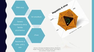 Genero
hepatovirus de la
familia
picornavirus
RNA virus
Sin envoltura
27nm
Resistente al
color, acid y
eter Harrison. Principios de Medicina Interna, 19e,Dennis
Kasper, Anthony Fauci, Stephen Hauser, Dan Longo, J.
Larry Jameson, Joseph Loscalzo
 