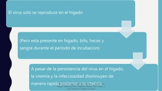 El virus solo se reproduce en el higado
(Pero esta presente en higado, bilis, heces y
sangre durante el periodo de incubacion)
A pesar de la persistencia del virus en el higado,
la viremia y la infecciosidad disminuyen de
manera rapida posterior a la ictericia.Harrison. Principios de Medicina Interna, 19e,Dennis
Kasper, Anthony Fauci, Stephen Hauser, Dan Longo, J.
Larry Jameson, Joseph Loscalzo
 