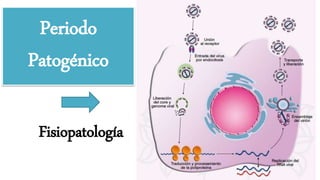 Fisiopatología
Periodo
Patogénico
 