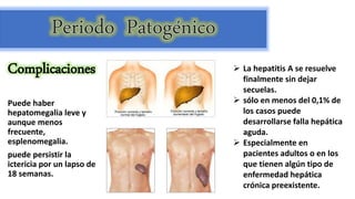 Puede haber
hepatomegalia leve y
aunque menos
frecuente,
esplenomegalia.
puede persistir la
ictericia por un lapso de
18 semanas.
Complicaciones  La hepatitis A se resuelve
finalmente sin dejar
secuelas.
 sólo en menos del 0,1% de
los casos puede
desarrollarse falla hepática
aguda.
 Especialmente en
pacientes adultos o en los
que tienen algún tipo de
enfermedad hepática
crónica preexistente.
 