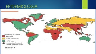EPIDEMIOLOGIA
HEPATITIS B
 
