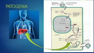 PATOGENIA
 