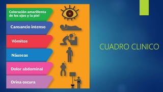 CUADRO CLINICO
 