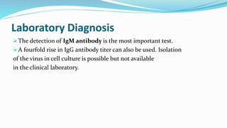 Laboratory Diagnosis
The detection of IgM antibody is the most important test.
A fourfold rise in IgG antibody titer can also be used. Isolation
of the virus in cell culture is possible but not available
in the clinical laboratory.
 