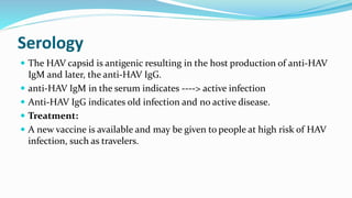 Serology
 The HAV capsid is antigenic resulting in the host production of anti-HAV
IgM and later, the anti-HAV IgG.
 anti-HAV IgM in the serum indicates ----> active infection
 Anti-HAV IgG indicates old infection and no active disease.
 Treatment:
 A new vaccine is available and may be given to people at high risk of HAV
infection, such as travelers.
 