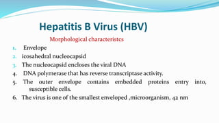 Hepatitis B Virus (HBV)
Morphological characteristcs
1. Envelope
2. icosahedral nucleocapsid
3. The nucleocapsid encloses the viral DNA
4. DNA polymerase that has reverse transcriptase activity.
5. The outer envelope contains embedded proteins entry into,
susceptible cells.
6. The virus is one of the smallest enveloped ,microorganism, 42 nm
 