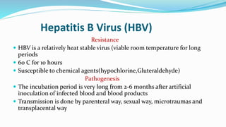 Hepatitis B Virus (HBV)
Resistance
 HBV is a relatively heat stable virus (viable room temperature for long
periods
 60 C for 10 hours
 Susceptible to chemical agents(hypochlorine,Gluteraldehyde)
Pathogenesis
 The incubation period is very long from 2-6 months after artificial
inoculation of infected blood and blood products
 Transmission is done by parenteral way, sexual way, microtraumas and
transplacental way
 