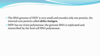 The RNA genome of HDV is very small and encodes only one protein, the
internal core protein called delta Antigen.
HDV has no virion polymerase; the genome RNA is replicated and
transcribed by the host cell RNA polymerase.
 