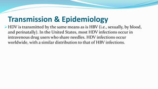 Transmission & Epidemiology
HDV is transmitted by the same means as is HBV (i.e., sexually, by blood,
and perinatally). In the United States, most HDV infections occur in
intravenous drug users who share needles. HDV infections occur
worldwide, with a similar distribution to that of HBV infections.
 