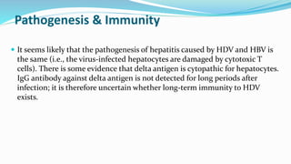 Pathogenesis & Immunity
 It seems likely that the pathogenesis of hepatitis caused by HDV and HBV is
the same (i.e., the virus-infected hepatocytes are damaged by cytotoxic T
cells). There is some evidence that delta antigen is cytopathic for hepatocytes.
IgG antibody against delta antigen is not detected for long periods after
infection; it is therefore uncertain whether long-term immunity to HDV
exists.
 