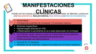 Pueden ser las mismas aunque la etiología de la enfermedad es diferente, cuenta con
una fase prodrómica, fase pre-ictérica, fase ictérica y una fase de convalecencia.
MANIFESTACIONES
CLÌNICAS
 Asintomática
 Corresponde al periodo de incubación (10 semanas máximo)
 Síntomas inespecíficos.
 Hepatomegalia dolorosa en 15%.
 Linfadenopatìa no persistente (lo es si esta relacionado con el herpes
virus.
 Con ictericia, acolia, coluria y prurito (a 5 días antes de que aparezca
clínicamente la ictericia), generalmente pierden peso.
 Puede presentar una fase anicterica.
 Dura de 6 a 12 semanas.
 Remisión de los síntomas y mejora de pruebas de funciones hepáticas.
 