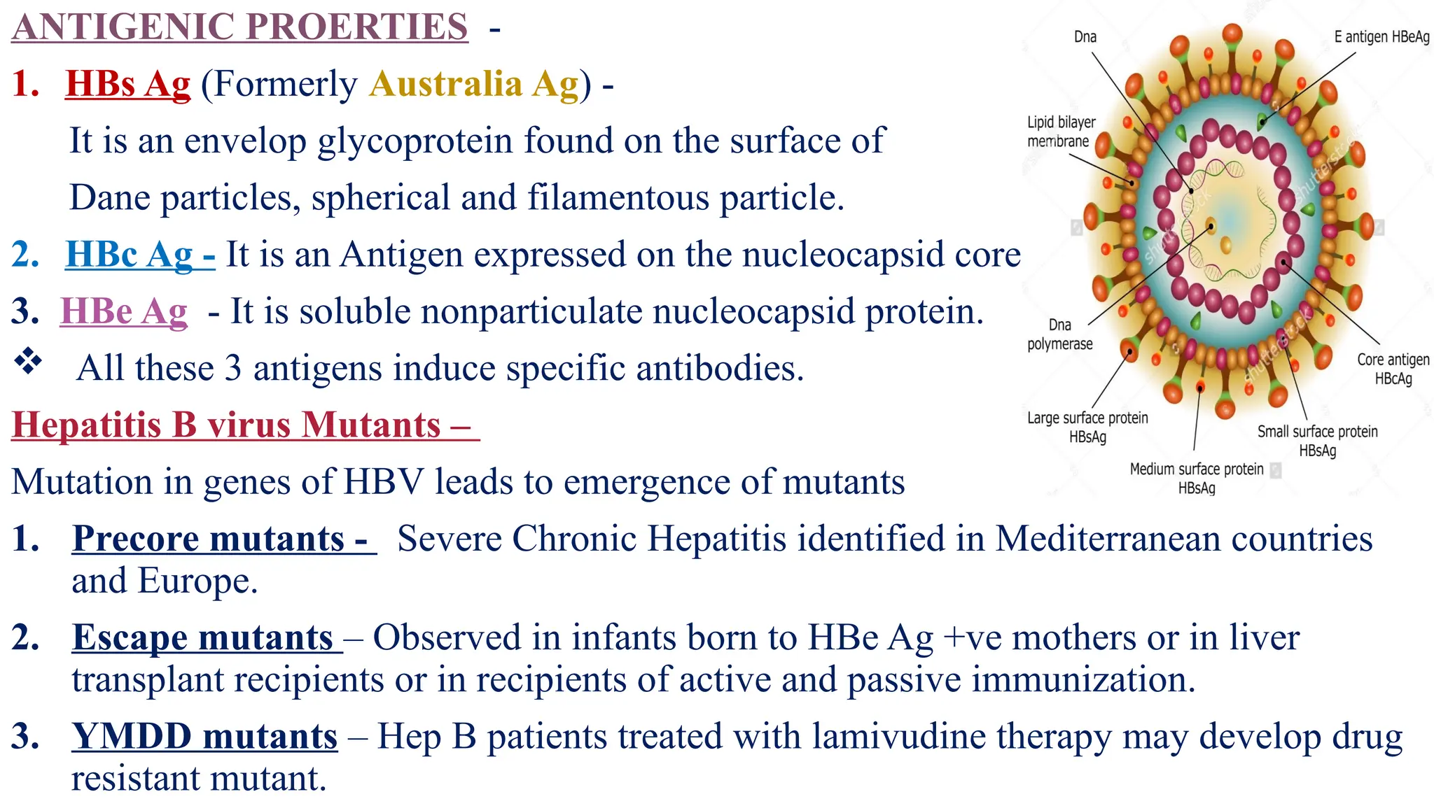 HEPATITIS.pptx microbiology ppt highly recommend | PPTX