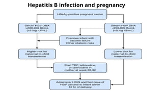 Hepatitis B infection and pregnancy
 