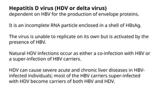 Hepatitis D virus (HDV or delta virus)
dependent on HBV for the production of envelope proteins.
It is an incomplete RNA particle enclosed in a shell of HBsAg.
The virus is unable to replicate on its own but is activated by the
presence of HBV.
Natural HDV infections occur as either a co-infection with HBV or
a super-infection of HBV carriers.
HDV can cause severe acute and chronic liver diseases in HBV-
infected individuals; most of the HBV carriers super-infected
with HDV become carriers of both HBV and HDV.
 