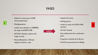 FASES
• Infección crónica por elVHB
(inmunotolerancia
• HbeAg-positivo.
• niveles muy elevados (>1000000)
de carga viral ADN-VHB.
• AST/ALT elevada o dentro del
rango normal.
• Necroinflamación o fibrosis
hepática mínima o nula
• Hepatitis B crónica.
• HbeAg-positivo.
• niveles de carga viral (ADN-VHB)
elevados
• AST/ALT elevada.
• Necroinflamación leve, moderada o
grave.
• Progresión acelerada de la fibrosis.
• % ALTO seroconversión de HBeAg
1
2
AÑOS
 