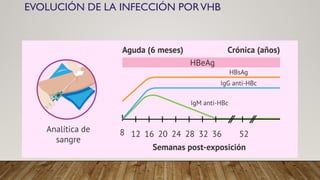 EVOLUCIÓN DE LA INFECCIÓN PORVHB
 