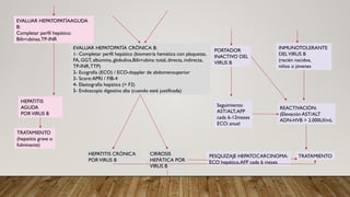 EVALUAR HEPATOPATÍAAGUDA
B:
Completar perfil hepático:
Bilirrubinas,TP-INR
EVALUAR HEPATOPATÍA CRÓNICA B:
1- Completar perfil hepático (biometría hemática con plaquetas,
FA, GGT, albúmina, globulina,Bilirrubina: total, directa, indirecta,
TP-INR,TTP)
2- Ecografía (ECO) / ECO-doppler de abdomensuperior
3- Score:APRI / FIB-4
4- Elastografìa hepática (> F2)
5- Endoscopia digestiva alta (cuando esté justificada)
PORTADOR
INACTIVO DEL
VIRUS B
INMUNOTOLERANTE
DELVIRUS B
(recién nacidos,
niños o jóvenes
HEPATITIS
AGUDA
PORVIRUS B
TRATAMIENTO
(hepatitis grave o
fulminante)
Seguimiento:
AST/ALT,AFP
cada 6-12meses
ECO: anual
REACTIVACIÓN:
(Elevación AST/ALT
ADN-HVB > 2.000UI/mL
HEPATITIS CRÓNICA
PORVIRUS B
CIRROSIS
HEPÁTICA POR
VIRUS B
PESQUIZAJE HEPATOCARCINOMA:
ECO hepático,AFP cada 6 meses
TRATAMIENTO
 