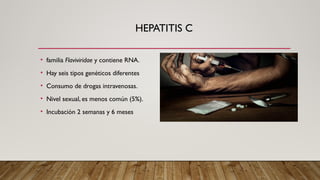 HEPATITIS C
• familia Flaviviridae y contiene RNA.
• Hay seis tipos genéticos diferentes
• Consumo de drogas intravenosas.
• Nivel sexual, es menos común (5%).
• Incubación 2 semanas y 6 meses
 