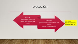 EVOLUCIÓN
AGUDA
Infección por el virus y la
remite en el periodo de 6
meses.
CRONICA
persistencia de carga viral más de 6
meses,
persiste la sintomatología,
cirrosis y
hepatocarcinoma,
85% de CASOS
 