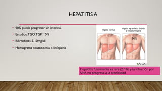 HEPATITIS A
• 90% puede progresar sin ictericia.
• Estudios:TGO,TGP 10N
• Bilirrubinas 5-10mg/dl
• Hemograma neutropenia o linfopenia
50%
hepatitis fulminante es rara (0.1%) y la infección por
VHA no progresa a la cronicidad
 