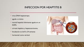 INFECCION POR HEAPTITIS B
• virus DNA hepatotropo.
• aguda o crónica
• mortal hepatitis fulminante aguda en un
0,05%.
• cirrosis hepática y hepatocarcinoma.
• Incubación es de 8 a 24 semanas
• horizontal como vertical.
 