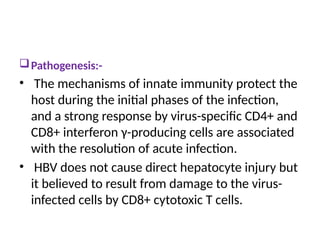 Pathogenesis:-
• The mechanisms of innate immunity protect the
host during the initial phases of the infection,
and a strong response by virus-specific CD4+ and
CD8+ interferon γ-producing cells are associated
with the resolution of acute infection.
• HBV does not cause direct hepatocyte injury but
it believed to result from damage to the virus-
infected cells by CD8+ cytotoxic T cells.
 