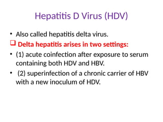 Hepatitis D Virus (HDV)
• Also called hepatitis delta virus.
 Delta hepatitis arises in two settings:
• (1) acute coinfection after exposure to serum
containing both HDV and HBV.
• (2) superinfection of a chronic carrier of HBV
with a new inoculum of HDV.
 