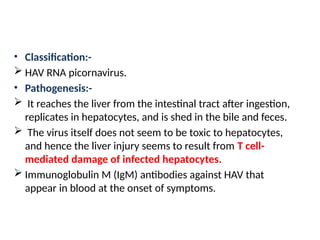 • Classification:-
 HAV RNA picornavirus.
• Pathogenesis:-
 It reaches the liver from the intestinal tract after ingestion,
replicates in hepatocytes, and is shed in the bile and feces.
 The virus itself does not seem to be toxic to hepatocytes,
and hence the liver injury seems to result from T cell-
mediated damage of infected hepatocytes.
 Immunoglobulin M (IgM) antibodies against HAV that
appear in blood at the onset of symptoms.
 