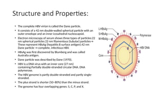 Comprehensive Overview of Hepatitis Viruses: Structure, Epidemiology ...