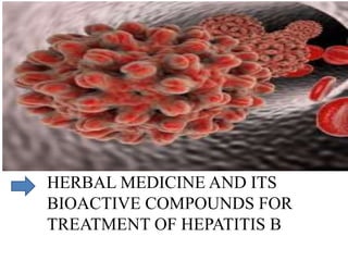 HERBAL MEDICINE AND ITS
BIOACTIVE COMPOUNDS FOR
TREATMENT OF HEPATITIS B
 
