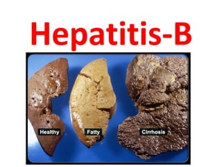 Hepatitis b package final