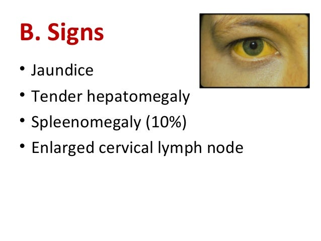 Hepatitis B Package Final