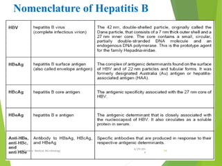 Nomenclature of Hepatitis B
6/29/201
4
Sunil Pandey- Medical Microbiology 14
 