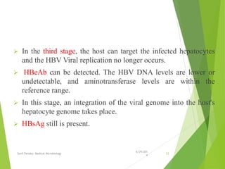  In the third stage, the host can target the infected hepatocytes
and the HBV Viral replication no longer occurs.
 HBeAb can be detected. The HBV DNA levels are lower or
undetectable, and aminotransferase levels are within the
reference range.
 In this stage, an integration of the viral genome into the host's
hepatocyte genome takes place.
 HBsAg still is present.
6/29/201
4
Sunil Pandey- Medical Microbiology 23
 