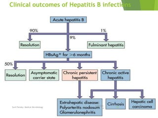 Clinical outcomes of Hepatitis B infections
6/29/201
4
Sunil Pandey- Medical Microbiology 27
 