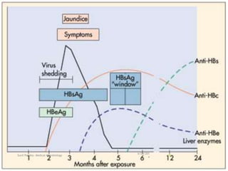 6/29/201
4
Sunil Pandey- Medical Microbiology 31
 