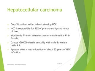 Hepatocellular carcinoma
 Only 5% patient with cirrhosis develop HCC.
 HCC is responsible for 90% of primary malignant tumor
of liver.
 Worldwide 7th most common cancer in male while 9th in
female.
 Causes >500000 deaths annually with male & female
ratio 4:1.
 Appears after a mean duration of about 35 years of HBV
infection.
6/29/201
4
Sunil Pandey- Medical Microbiology 36
 