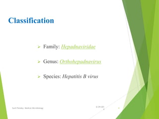 Classification
 Family: Hepadnaviridae
 Genus: Orthohepadnavirus
 Species: Hepatitis B virus
6/29/201
4
Sunil Pandey- Medical Microbiology 4
 
