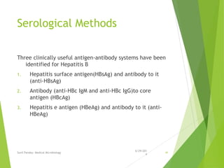 Serological Methods
Three clinically useful antigen-antibody systems have been
identified for Hepatitis B
1. Hepatitis surface antigen(HBsAg) and antibody to it
(anti-HBsAg)
2. Antibody (anti-HBc IgM and anti-HBc IgG)to core
antigen (HBcAg)
3. Hepatitis e antigen (HBeAg) and antibody to it (anti-
HBeAg)
6/29/201
4
Sunil Pandey- Medical Microbiology 41
 