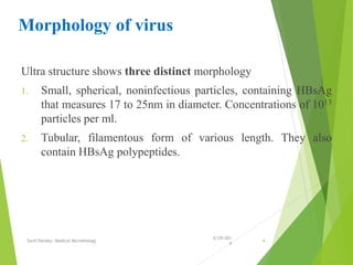 Morphology of virus
Ultra structure shows three distinct morphology
1. Small, spherical, noninfectious particles, containing HBsAg
that measures 17 to 25nm in diameter. Concentrations of 1013
particles per ml.
2. Tubular, filamentous form of various length. They also
contain HBsAg polypeptides.
6/29/201
4
Sunil Pandey- Medical Microbiology 6
 