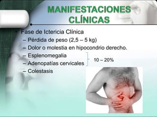 • Fase de Ictericia Clínica
   –   Pérdida de peso (2,5 – 5 kg)
   –   Dolor o molestia en hipocondrio derecho.
   –   Esplenomegalia
                                  10 – 20%
   –   Adenopatías cervicales
   –   Colestasis
 