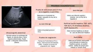 PRUEBAS DIAGNÓSTICAS
Determina si el paciente ha
estado expuesto al virus de la
hepatitis A
Prueba de anticuerpos para el virus
de la hepatitis A (anti-VHA)
Indica una infección aguda o
reciente con el virus de la
hepatitis A
Anti-VHA IgM
Indica inmunidad previa al
virus.
Ac Anti-VHA IgG
Estas enzimas hepáticas se elevan
en caso de disfunción hepática
Perﬁl de función hepática: TGO (AST),
TGP (ALT), FA (Fosfatasa Alcalina),
GGTP (Gamma-GT)
Pruebas de coagulación
Tiempo de Protrombina (PT) e
Índice Internacional Normalizado
(INR): Evalúan la función de
coagulación del hígado
Dado que la función renal puede
verse afectada en trastornos
hepáticos graves, se pueden
realizar análisis de sangre para
evaluar la función renal.
Perﬁl Renal
Ultrasonografía abdominal:
Permite evaluar la morfología del
hígado, la vesícula biliar y otros
órganos abdominales. Puede
ayudar a descartar obstrucciones
biliares.
 