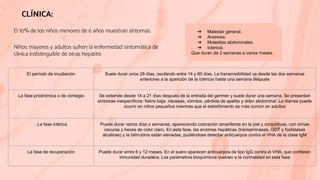 CLÍNICA:
El 10% de los niños menores de 6 años muestran síntomas.
Niños mayores y adultos sufren la enfermedad sintomática de
clínica indistinguible de otras hepatitis
➔ Malestar general.
➔ Anorexia.
➔ Molestias abdominales.
➔ Ictericia.
Que duran de 2 semanas a varios meses.
El período de incubación Suele durar unos 28 días, oscilando entre 14 y 60 días. La transmisibilidad va desde las dos semanas
anteriores a la aparición de la ictericia hasta una semana después
La fase prodrómica o de contagio Se extiende desde 14 a 21 días después de la entrada del germen y suele durar una semana. Se presentan
síntomas inespecíficos: fiebre baja, náuseas, vómitos, pérdida de apetito y dolor abdominal. La diarrea puede
ocurrir en niños pequeños mientras que el estreñimiento es más común en adultos
. La fase ictérica Puede durar varios días o semanas, apareciendo coloración amarillenta en la piel y conjuntivas, con orinas
oscuras y heces de color claro. En esta fase, las enzimas hepáticas (transaminasas, GGT y fosfatasas
alcalinas) y la bilirrubina están elevadas, pudiéndose detectar anticuerpos contra el VHA de la clase IgM
La fase de recuperación Puede durar entre 6 y 12 meses. En el suero aparecen anticuerpos de tipo IgG contra el VHA, que confieren
inmunidad duradera. Los parámetros bioquímicos vuelven a la normalidad en esta fase
 