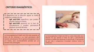CRITERIO DIAGNÓSTICO:
El diagnóstico de la infección aguda se realiza
mediante la detección de:
- IgM anti-VAH específicos, que pueden
persistir hasta 4-6 meses.
- IgG anti-VAH aparecen en la fase de
convalecencia y pueden permanecer
positivos durante décadas.
La inmunoglobulina M (IgM) anti-VHA está presente al
inicio de los síntomas y su nivel permanece alto
durante 4-8 semanas. Por lo general, desaparece a los
4-6 meses, pero ocasionalmente persiste por un
período más prolongado.
La inmunoglobulina G (IgG) anti-VHA se vuelve detectable poco
después de que aparece el título de IgM y, generalmente,
aumenta a medida que disminuye el nivel de IgM. La IgG persiste
de por vida y proporciona inmunidad continua contra la
reinfección.
 