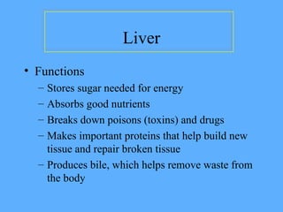 Liver
• Functions
– Stores sugar needed for energy
– Absorbs good nutrients
– Breaks down poisons (toxins) and drugs
– Makes important proteins that help build new
tissue and repair broken tissue
– Produces bile, which helps remove waste from
the body
 