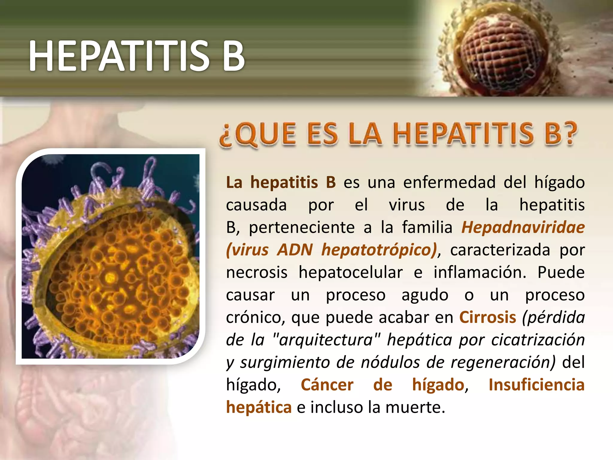 Hepatitis B | PPTX