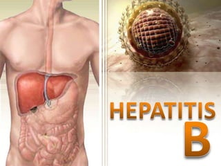 HEPATITIS B 