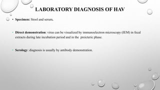 LABORATORY DIAGNOSIS OF HAV
• Specimen: Stool and serum.
• Direct demonstration: virus can be visualized by immunoelectron microscopy (IEM) in fecal
extracts during late incubation period and in the preicteric phase.
• Serology: diagnosis is usually by antibody demonstration.
 