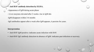 • Anti HAV antibody detection by ELISA.
-Appearance of IgM during acute phase
- Liver enzymes elevated after 2 weeks- rise in IgM abs
-IgM disappears within 3-6 months
-IgG antibodies appear after a week after IgM appears, it persists for years.
Interpretation
• Anti-HAV IgM positive: indicates acute infection with HAV.
• Anti-HAV IgG antibody detection-in absence of IgM: indicates past infection or recovery.
 